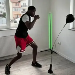 Premium Punching Bag